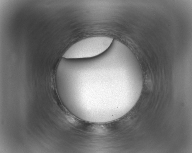 X0000071760322200606300922