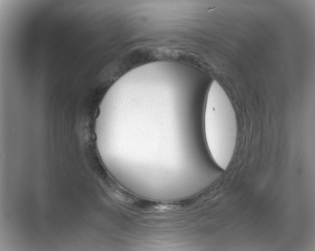 X0000071760323200606300922