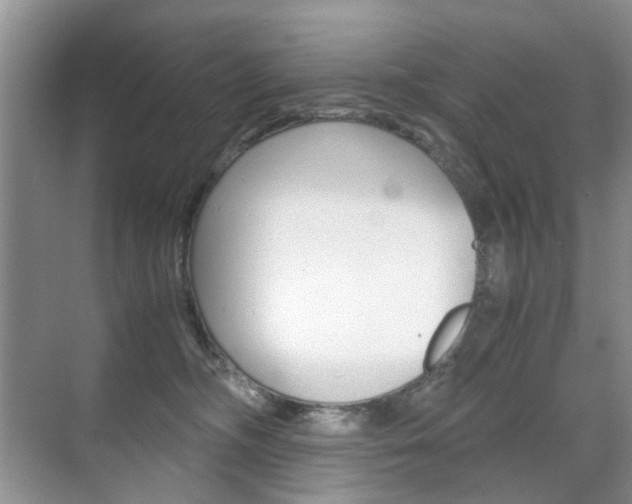 X0000071760326200606300922