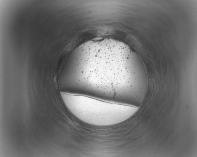 X0000071760327200606300922