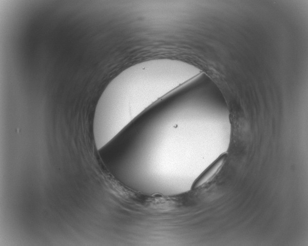 X0000071760331200606300922