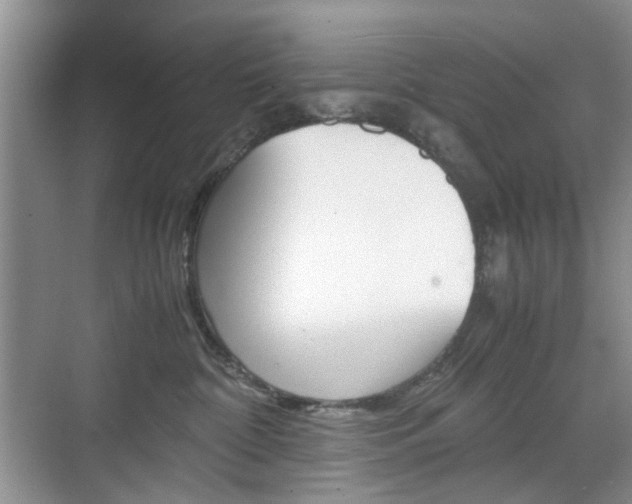 X0000071760332200606300922