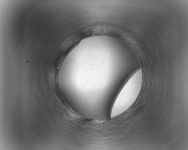 X0000071760333200606300922