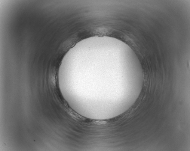 X0000071760334200606300922