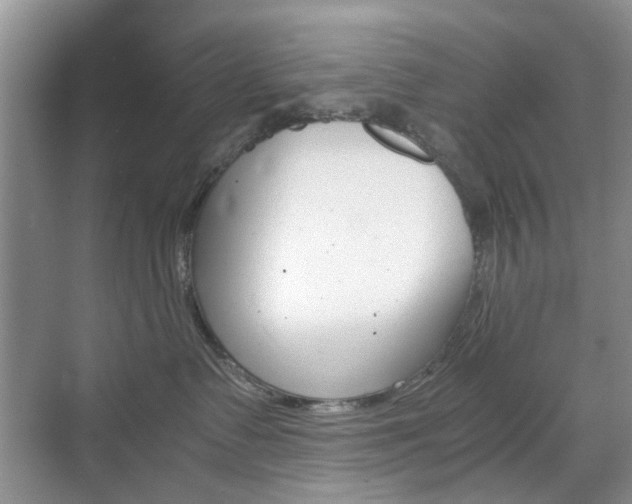 X0000071760335200606300922