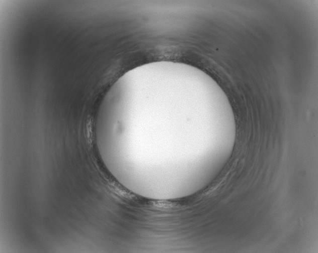 X0000071760336200606300922