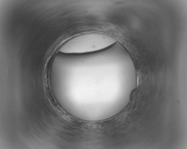 X0000071760339200606300921