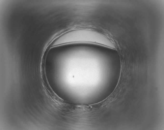 X0000071760340200606300921