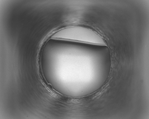 X0000071760341200606300921