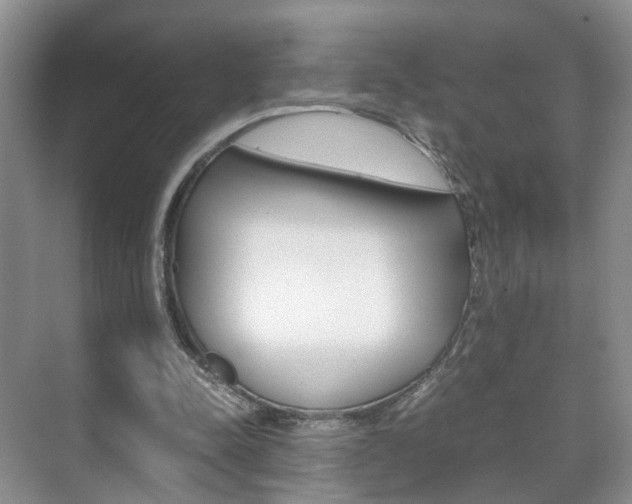 X0000071760342200606300921