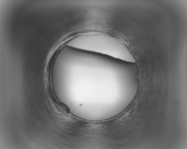 X0000071760343200606300921