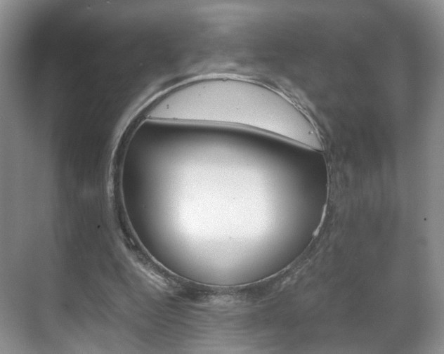 X0000071760344200606300921