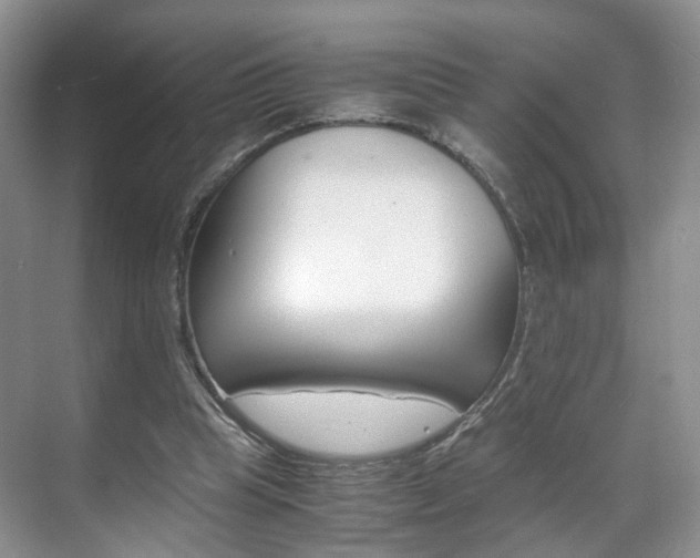 X0000071760345200606300921