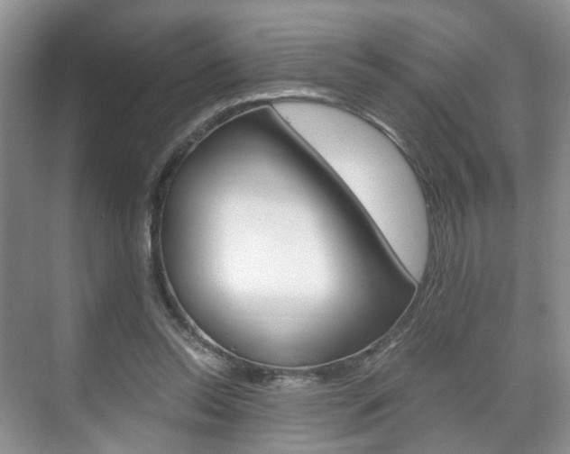 X0000071760350200606300922