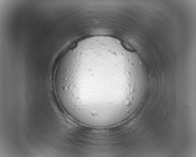 X0000071760351200606300922