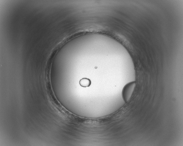 X0000071760354200606300922