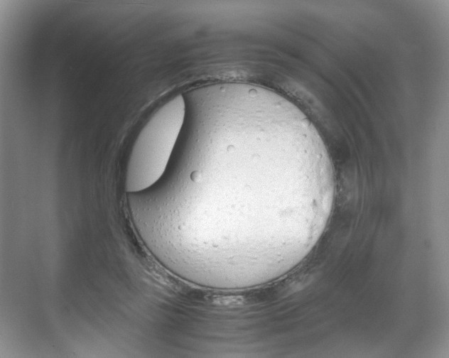 X0000071760355200606300922