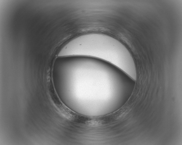 X0000071760356200606300922