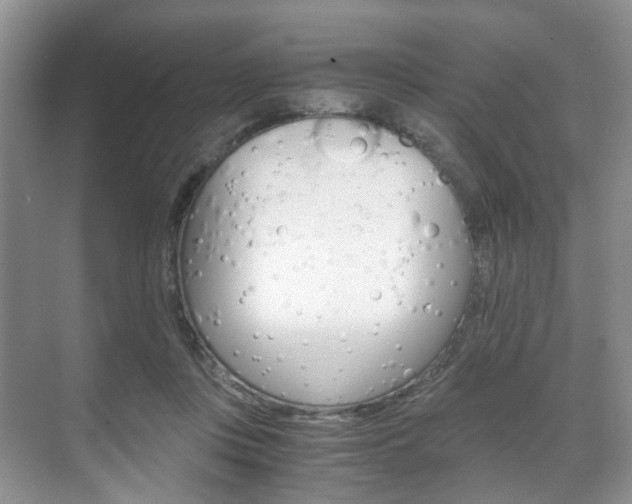 X0000071760359200606300922