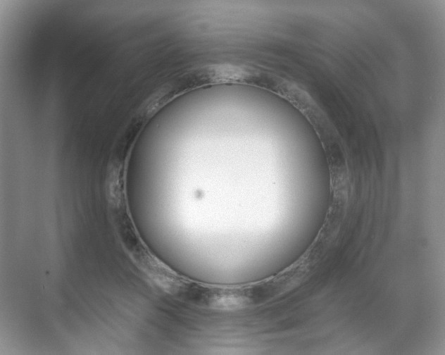 X0000071760360200606300922