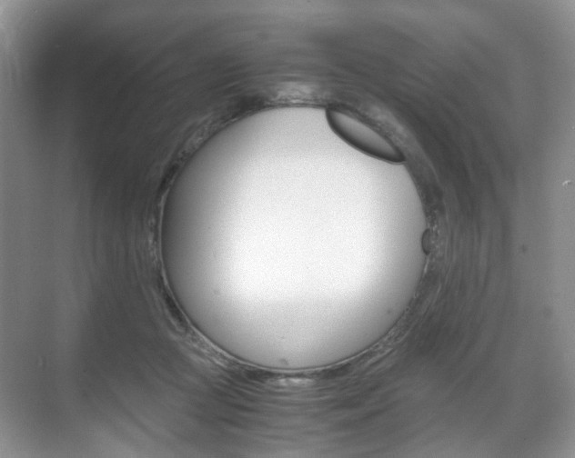 X0000071760361200606300922