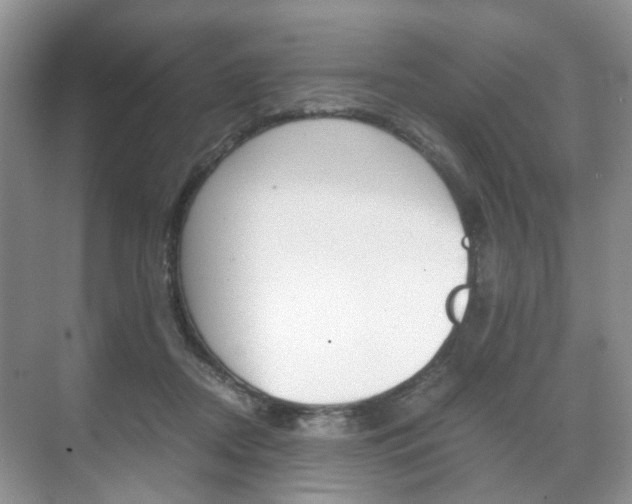 X0000071760362200606300922