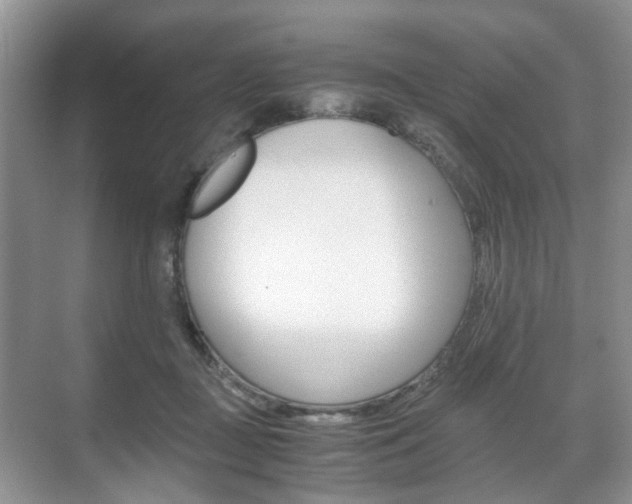 X0000071760363200606300922