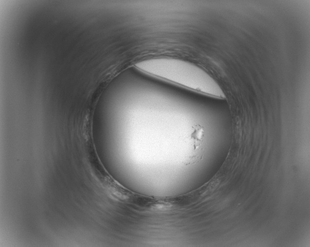 X0000071760364200606300922