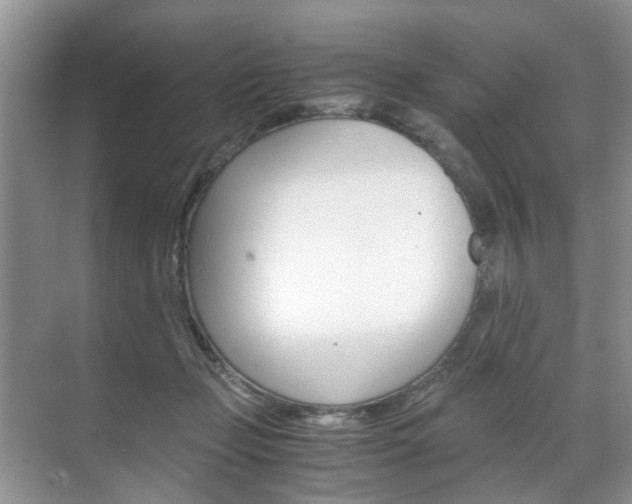 X0000071760365200606300922