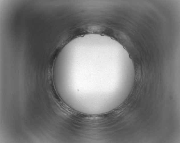 X0000071760367200606300922