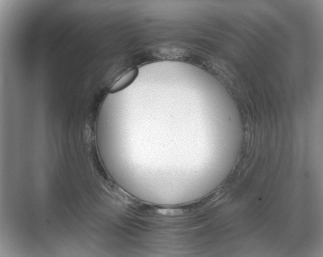 X0000071760371200606300922