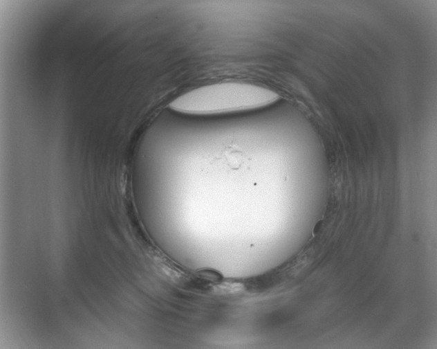 X0000071760374200606300922