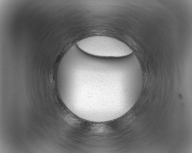 X0000071760377200606300922