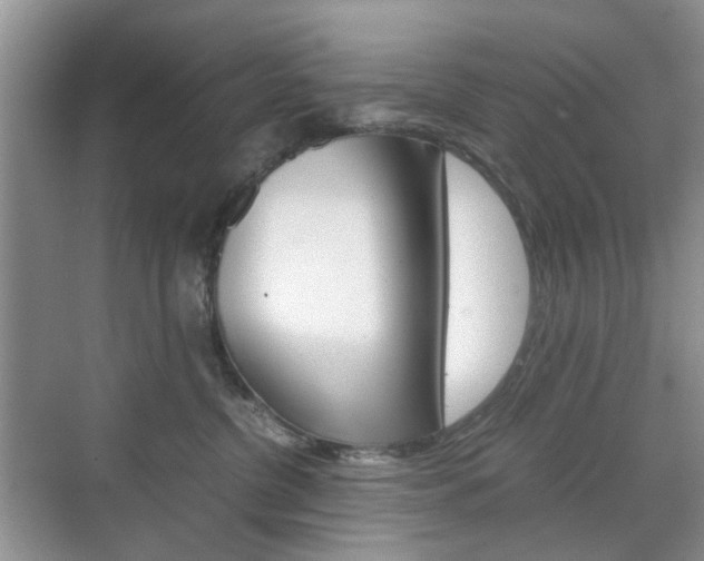 X0000071760380200606300922