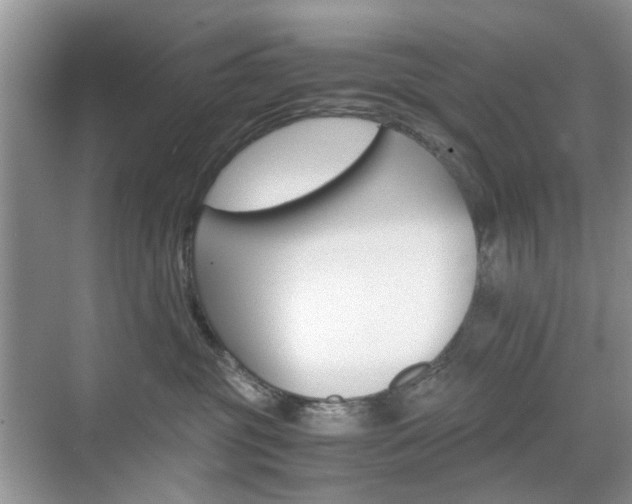 X0000071760381200606300922