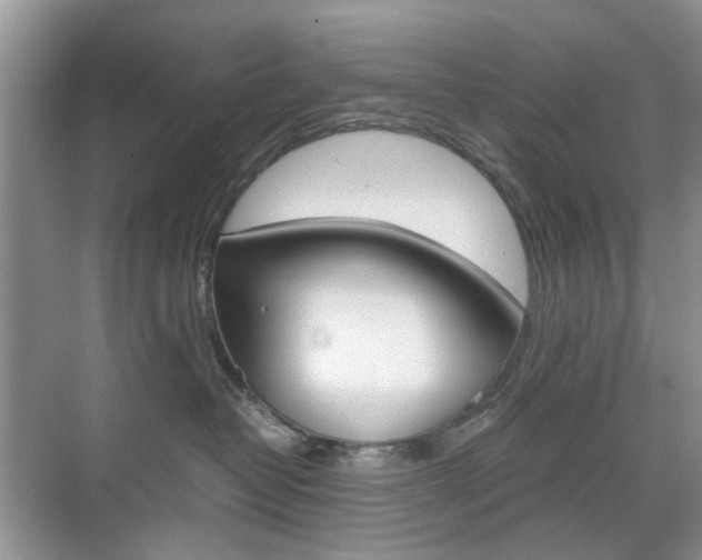 X0000071760382200606300922