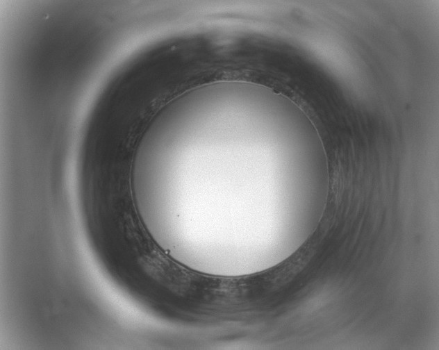 X0000071760383200606300922