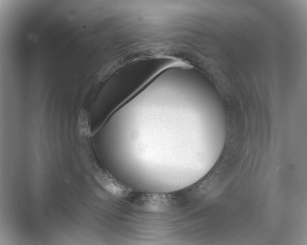 X0000071760384200606300922