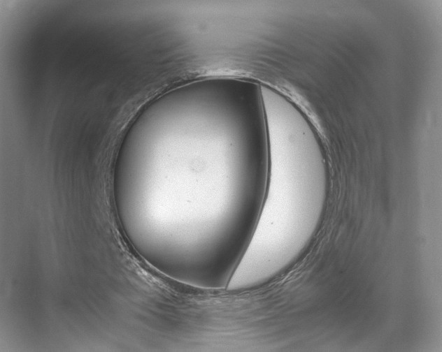 X0000071760385200606300921