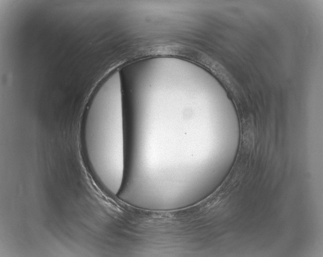 X0000071760386200606300921