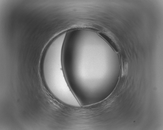 X0000071760387200606300921