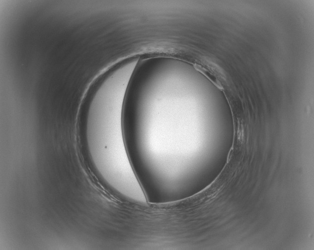 X0000071760388200606300921