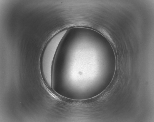 X0000071760389200606300921