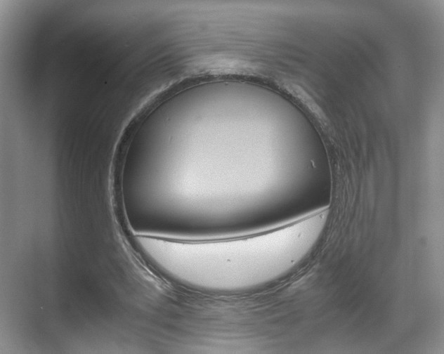 X0000071760391200606300921