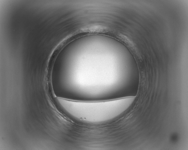 X0000071760392200606300921