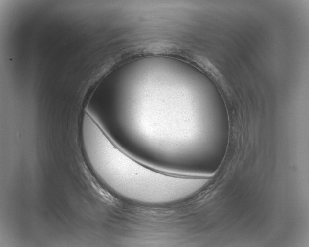 X0000071760393200606300921