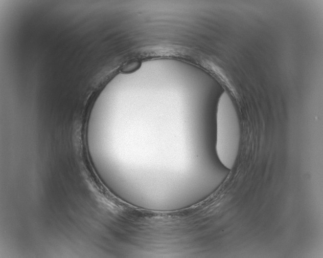 X0000071760394200606300921