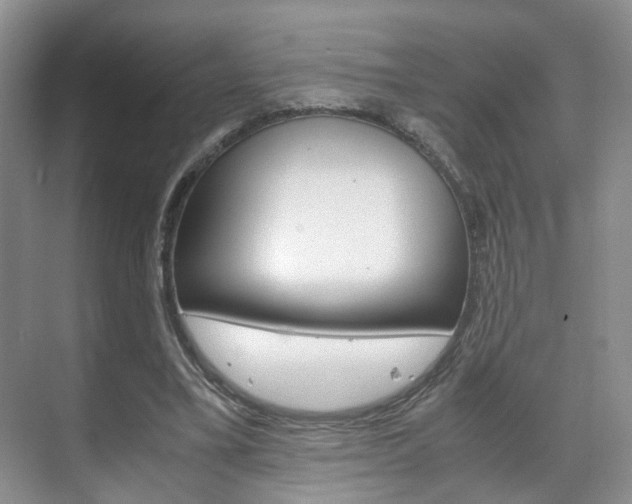 X0000071760395200606300921