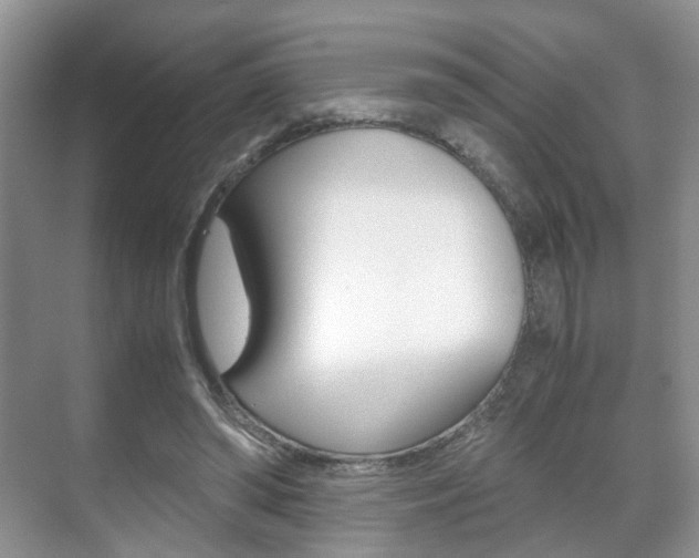 X0000071760398200606300921