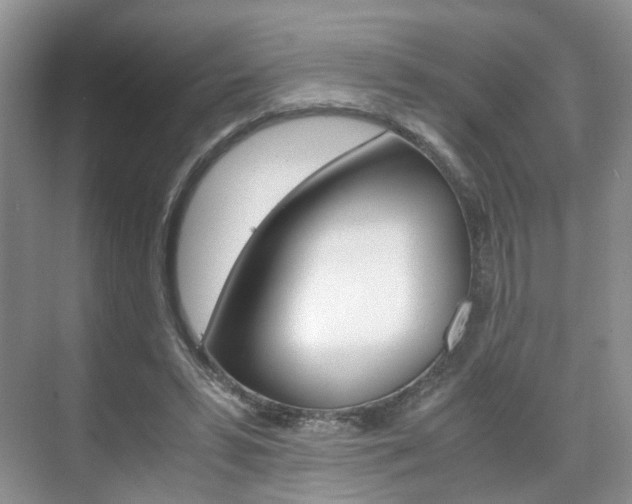 X0000071760399200606300921